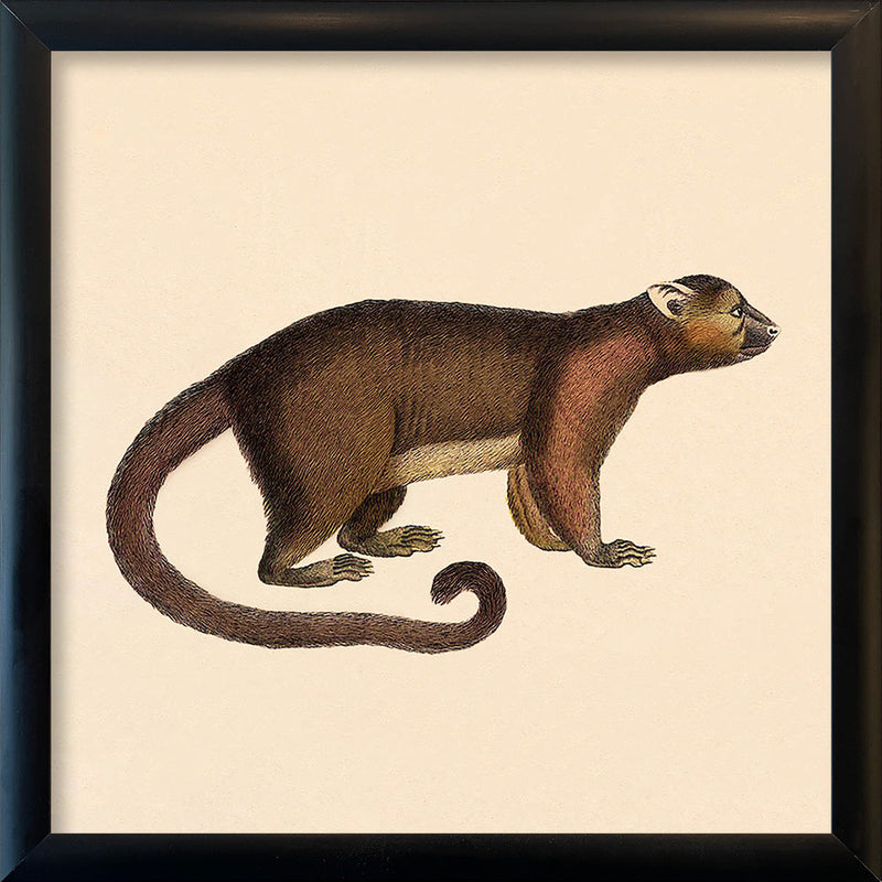 Brown Bear. Mini Print