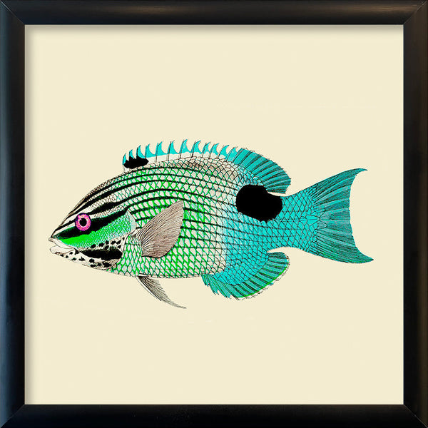 Turquoise and neon green fish. Mini Print