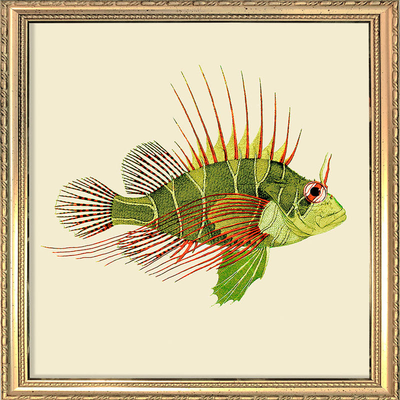 Green and red fish. Mini Print