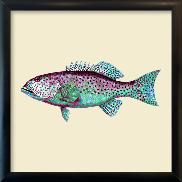 Turquoise and purple fish. Mini Print