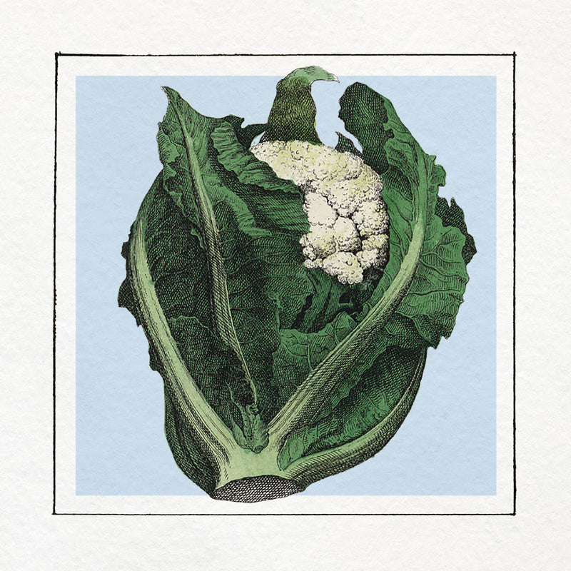 Brocoli. Mini Print