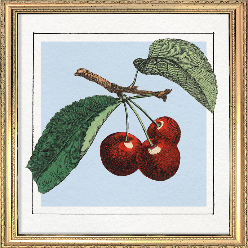 Cherries. Mini Print