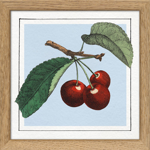 Cherries. Mini Print