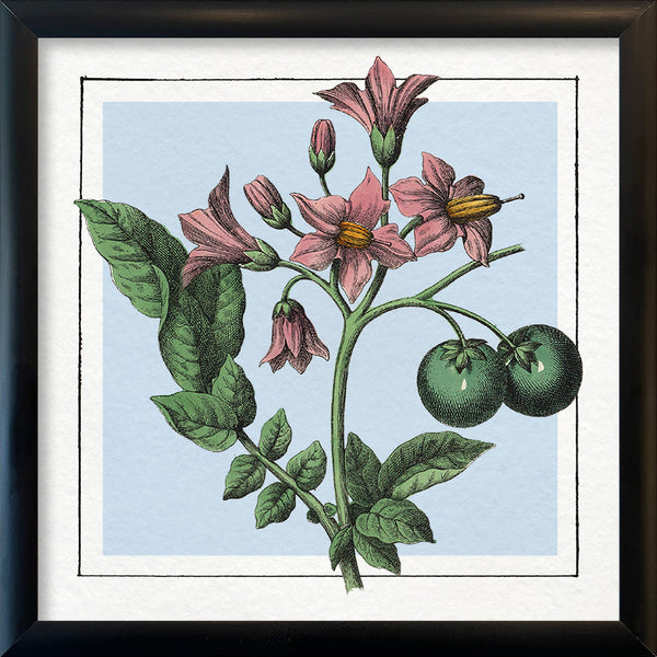 Potatoes. Mini Print