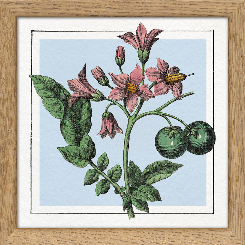 Potatoes. Mini Print