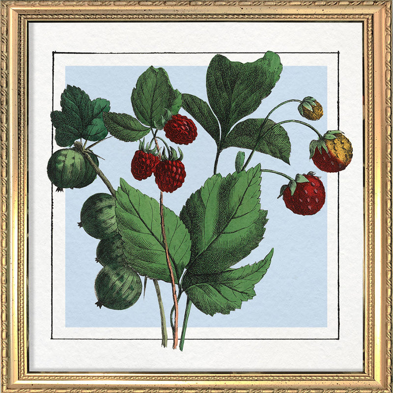 Strawberries. Mini Print