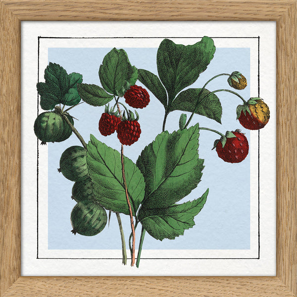 Strawberries. Mini Print