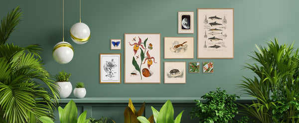 Blue Butterfly. Mini Print