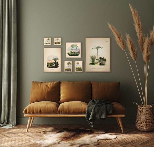 Astrocaryum Acaule Oenocarpus Bataua