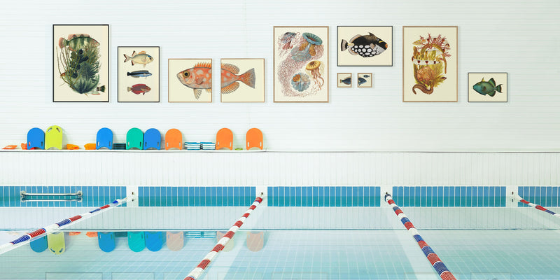 Blotched Bigeye Tail