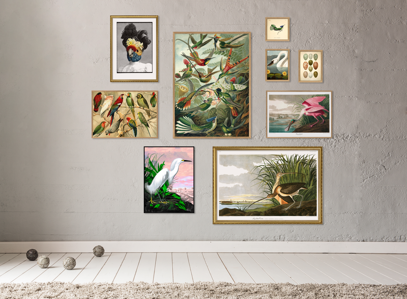 Le Stokes Hummingbird. Mini Print