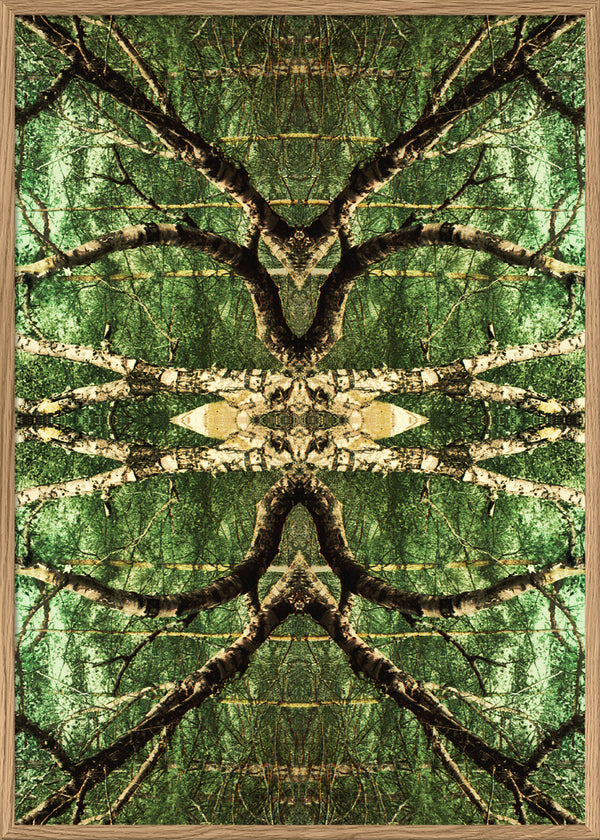 Spejling VII
