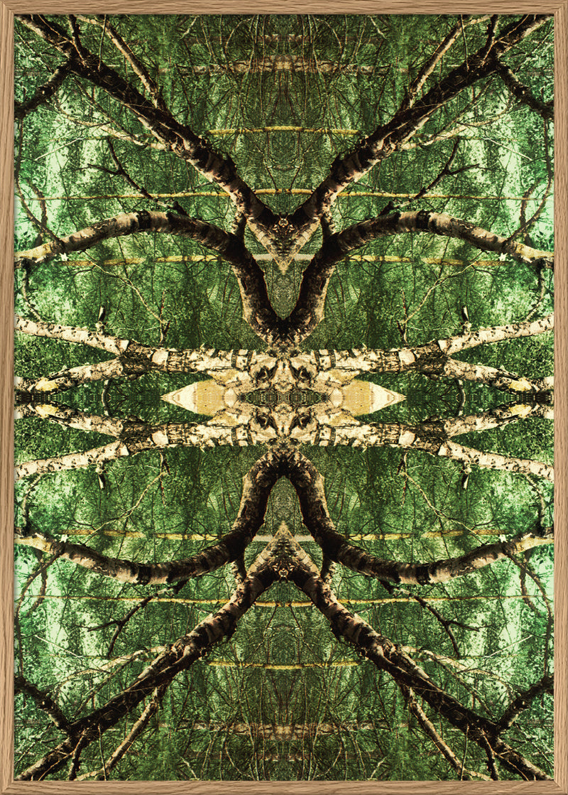 Spejling VII
