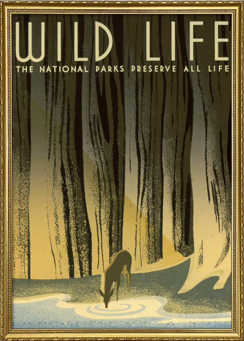 Wild Life