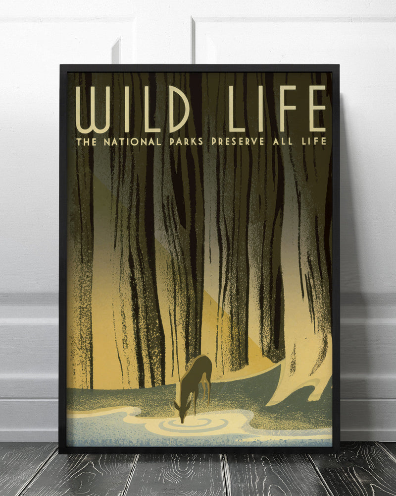 Wild Life