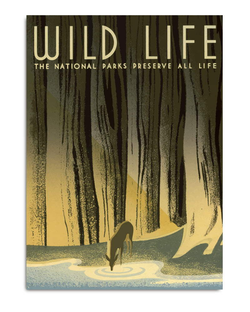 Wild Life