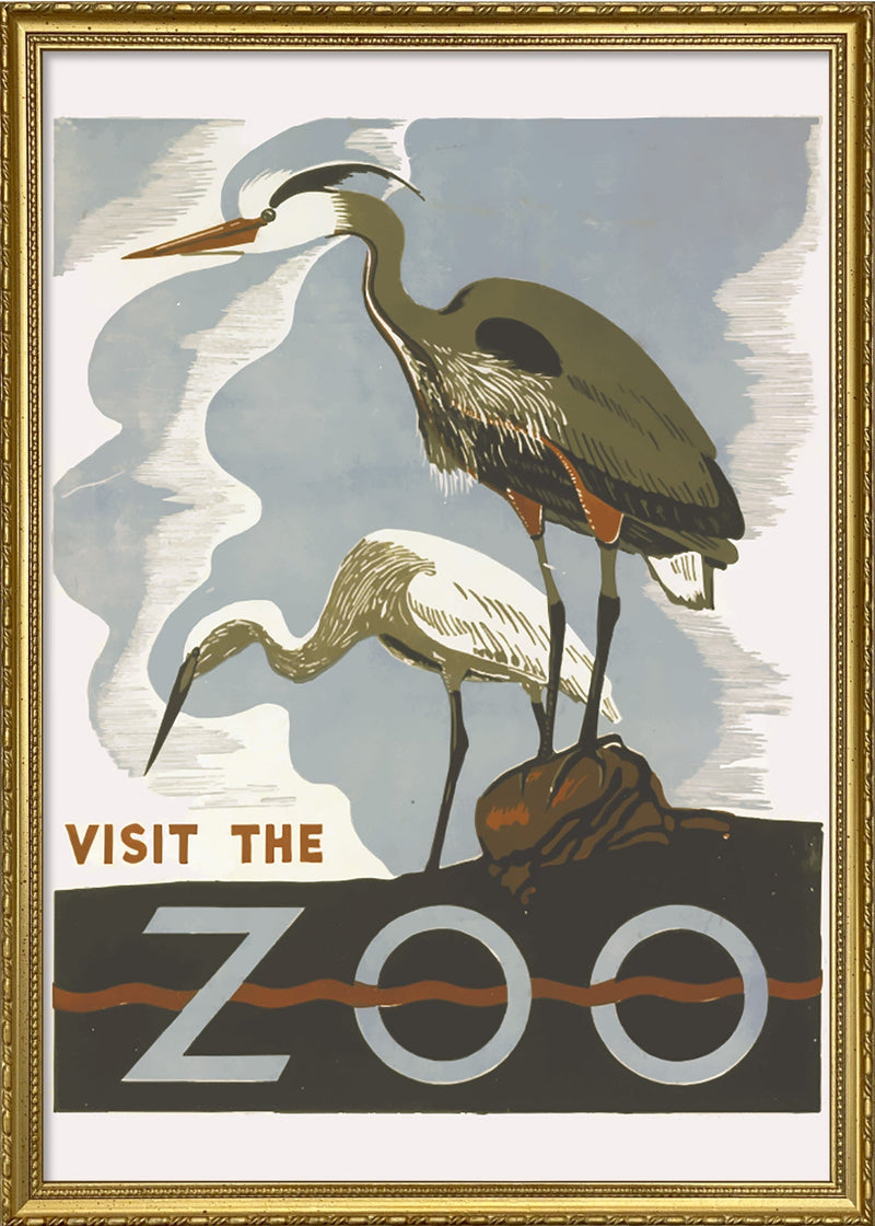 Visit the Zoo