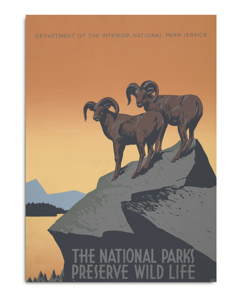 The National Parks Preserve Wild Life