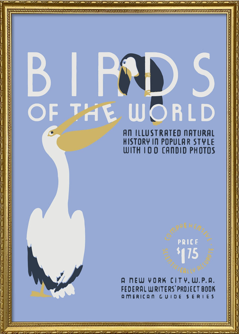 Birds Of The World