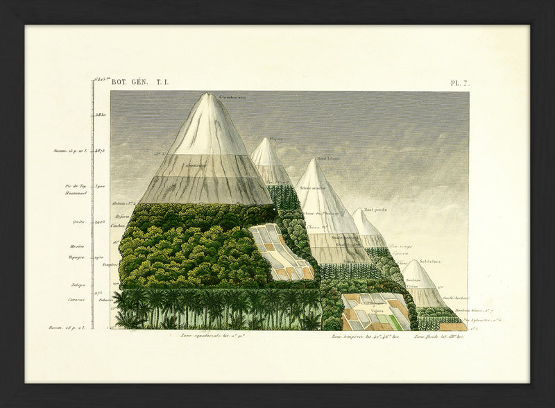 Mountain & Vegetation II