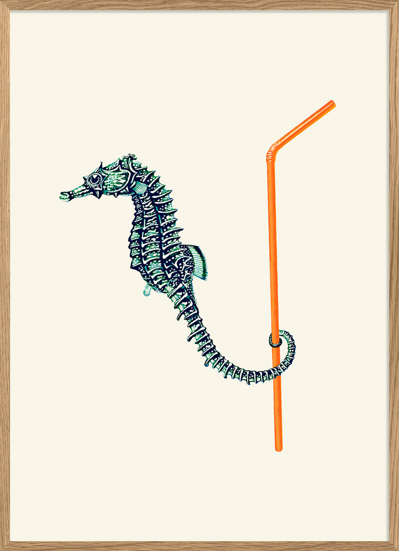 Seahorse and Straw.