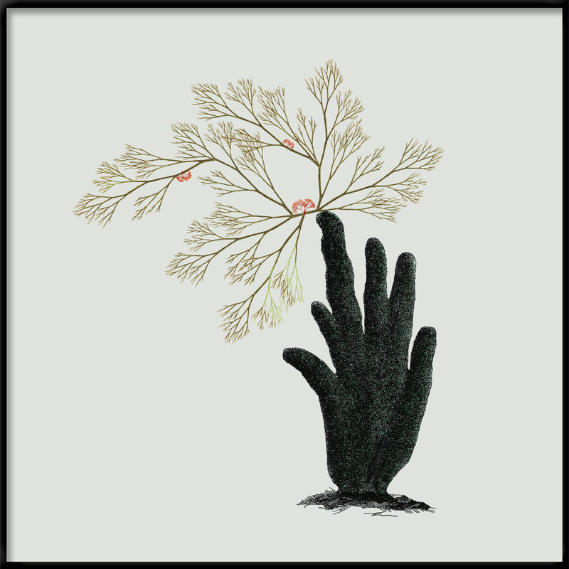 Single Algae hand