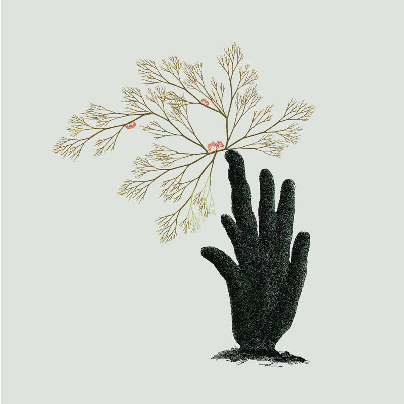 Single Algae hand