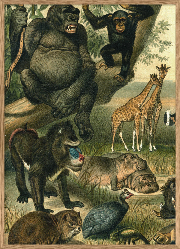 African Fauna Left Side