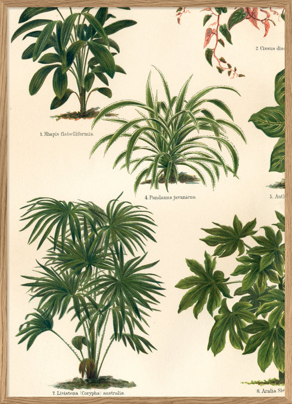 Oriental Plants Left Side