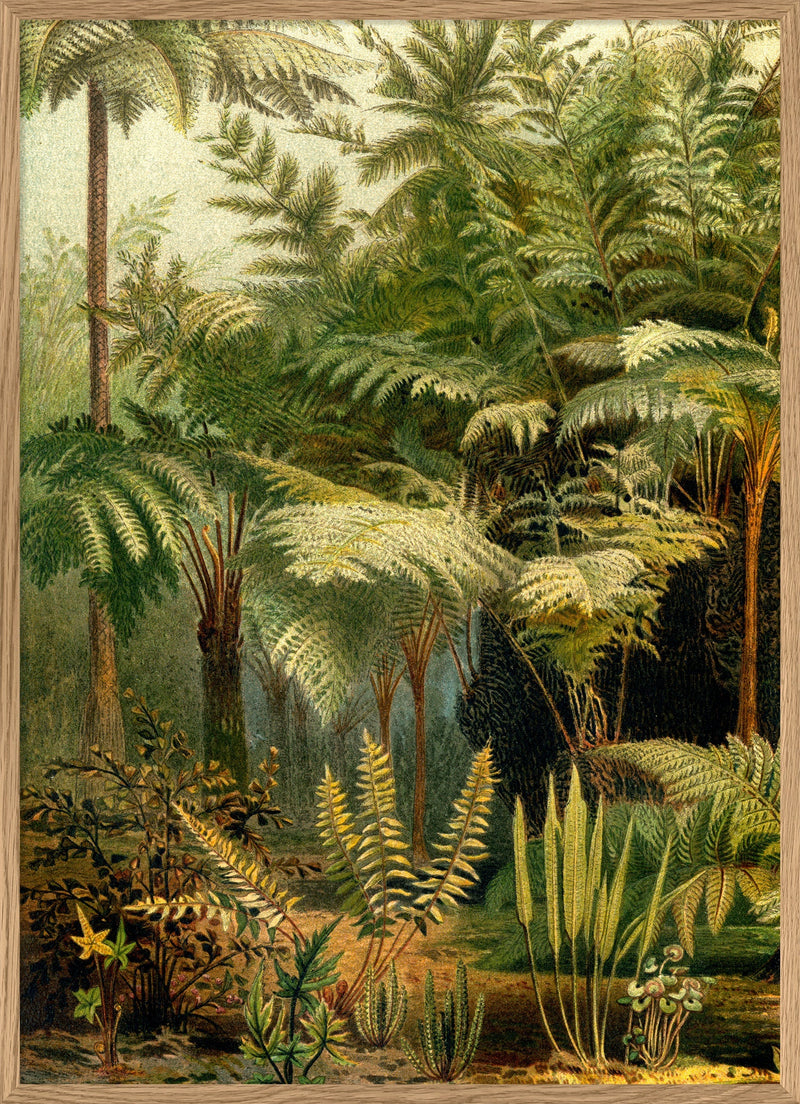 Ferns Left Side