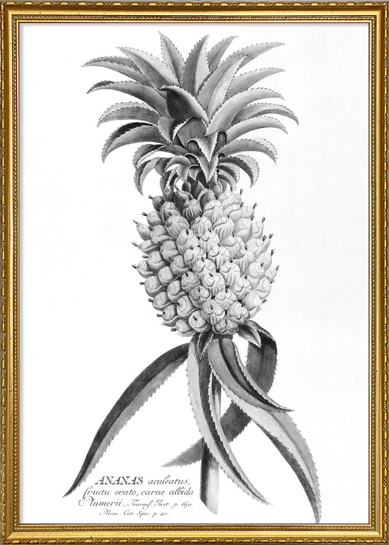 Black Ananas