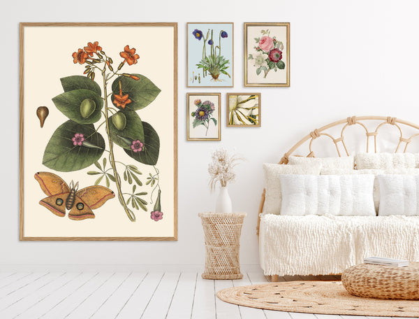 Cereus. Mini Print