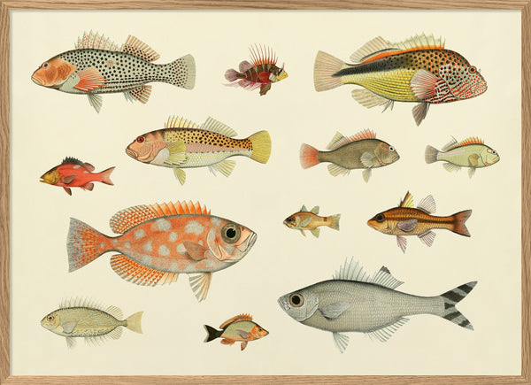 Fishes