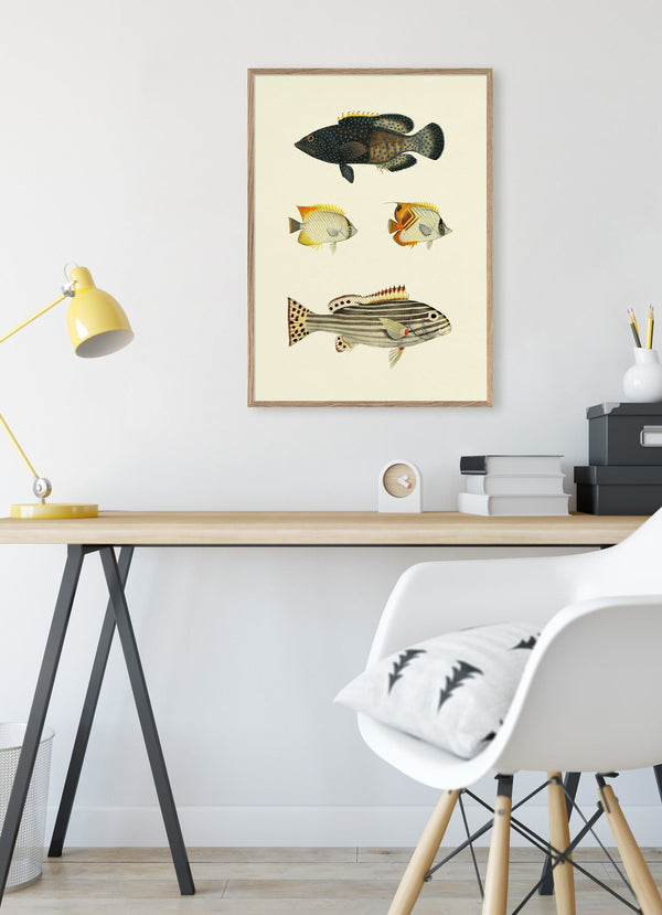 The Fishes