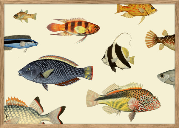 Fishes