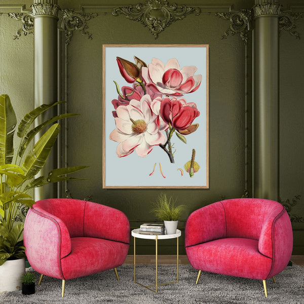 Magnolia Campbellii