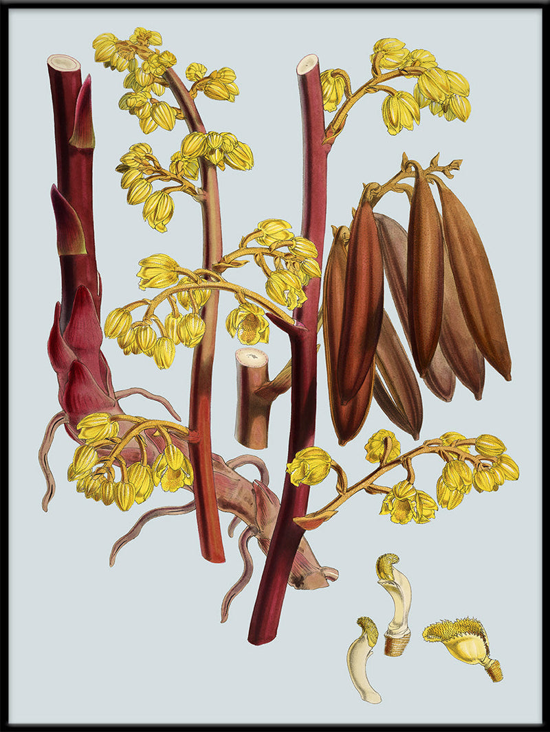 Red Branch With Yellow Flowers