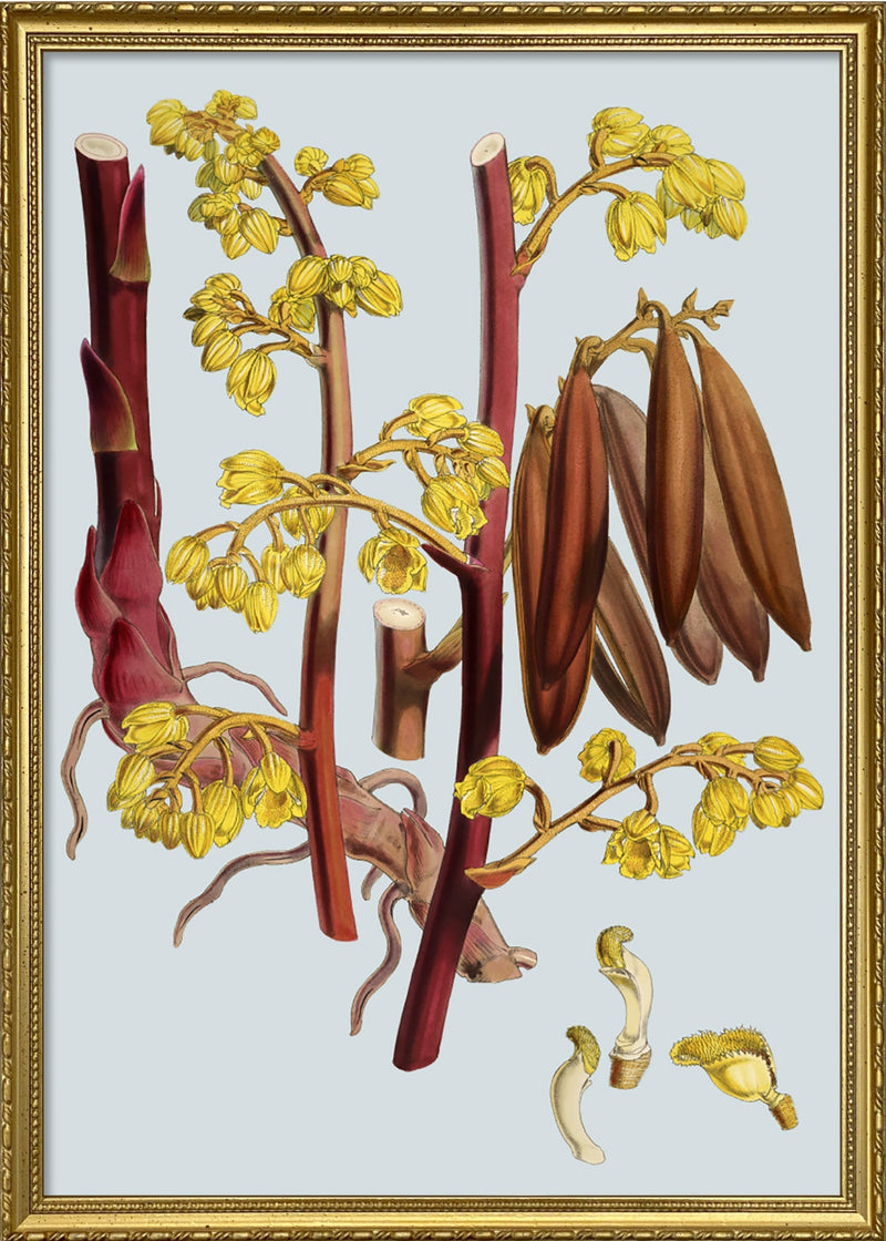 Red Branch With Yellow Flowers