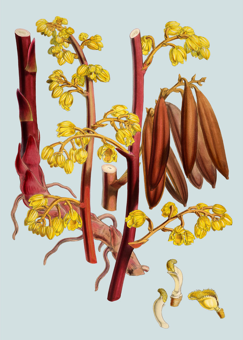 Red Branch With Yellow Flowers