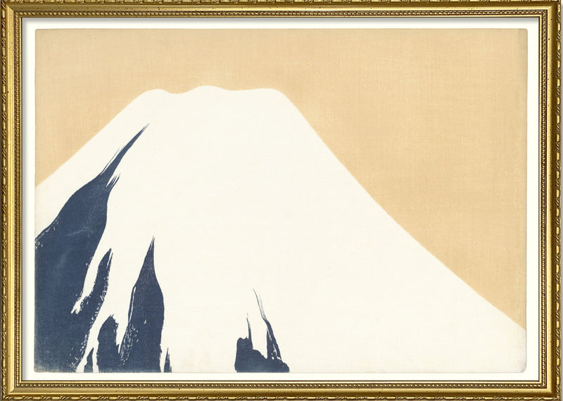 Fuji Top