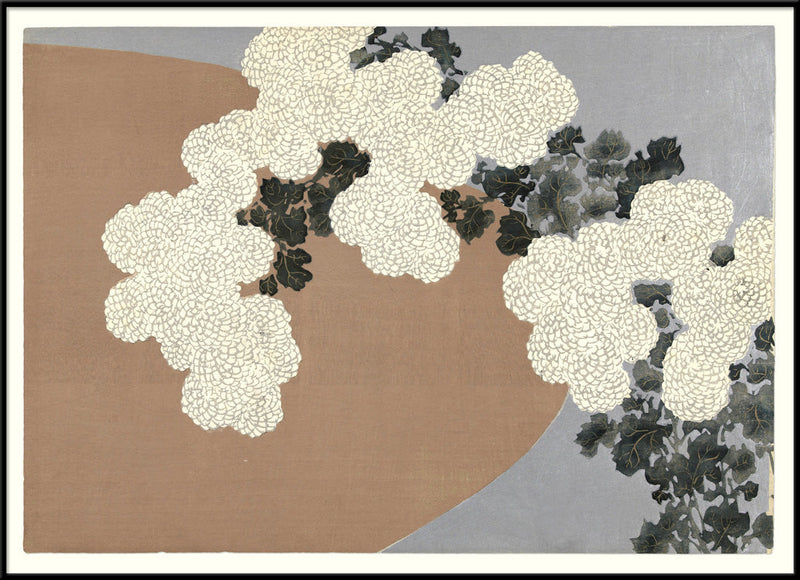 Chrysantemum