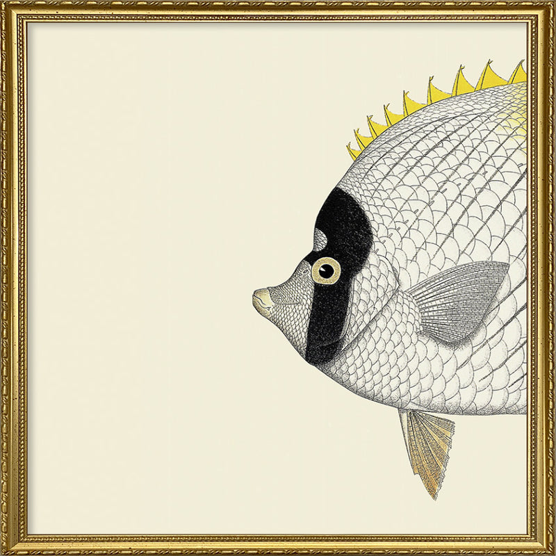 Yellow Fish Head