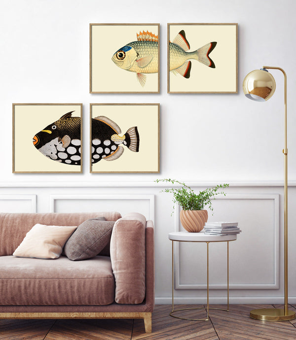 Orange White and Blue Fish Tail