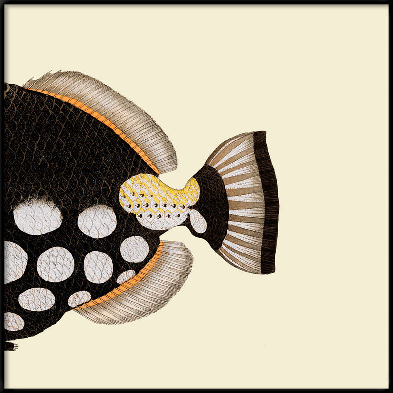 Dot Galore Fish Tail