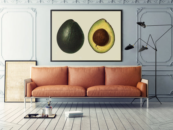 Avocado