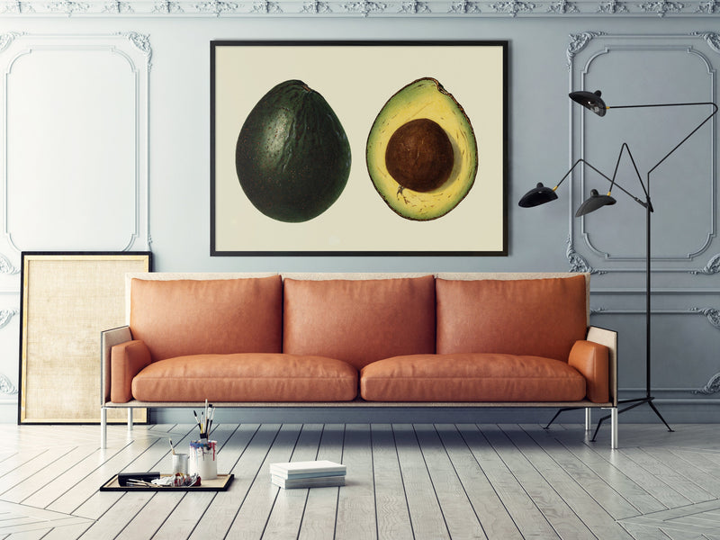 Avocado