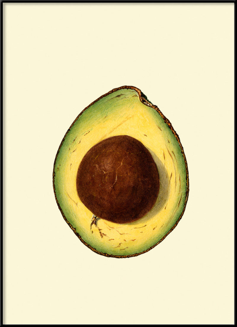 Avocado Open