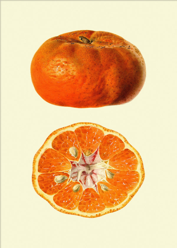 Mandarin