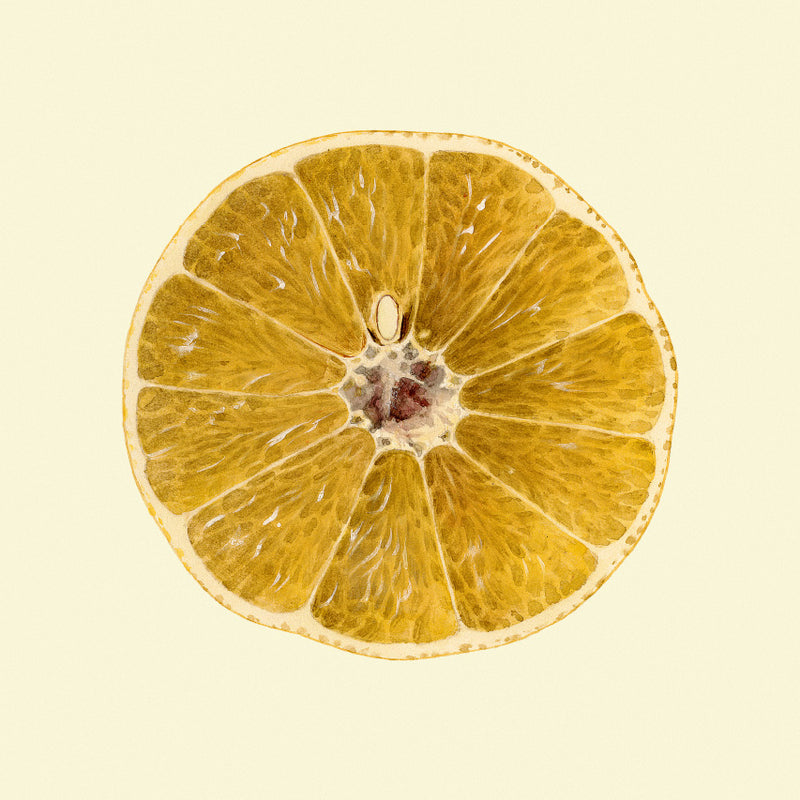 Grapefruit open