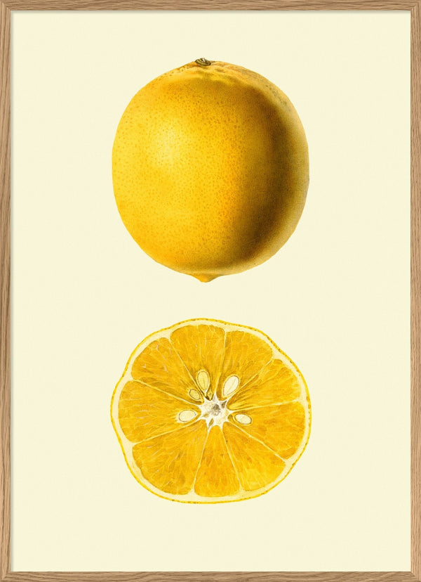 Lemon